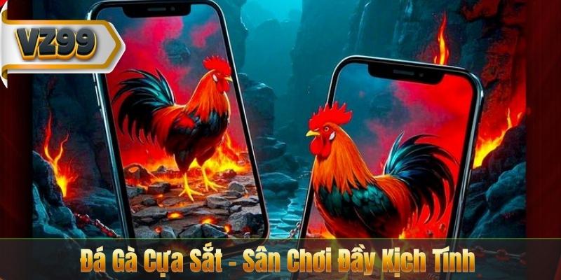 Đá Gà Cựa Sắt – Trải Nghiệm Trận Đấu Đỉnh Cao Tại VZ99 6 Đá Gà Cựa Sắt – Sân Chơi Đầy Kịch Tính