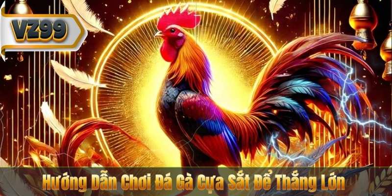Đá Gà Cựa Sắt – Trải Nghiệm Trận Đấu Đỉnh Cao Tại VZ99 8 Hướng Dẫn Chơi Đá Gà Cựa Sắt Để Thắng Lớn